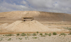 Rehab Nazzal: Dead Sea Series